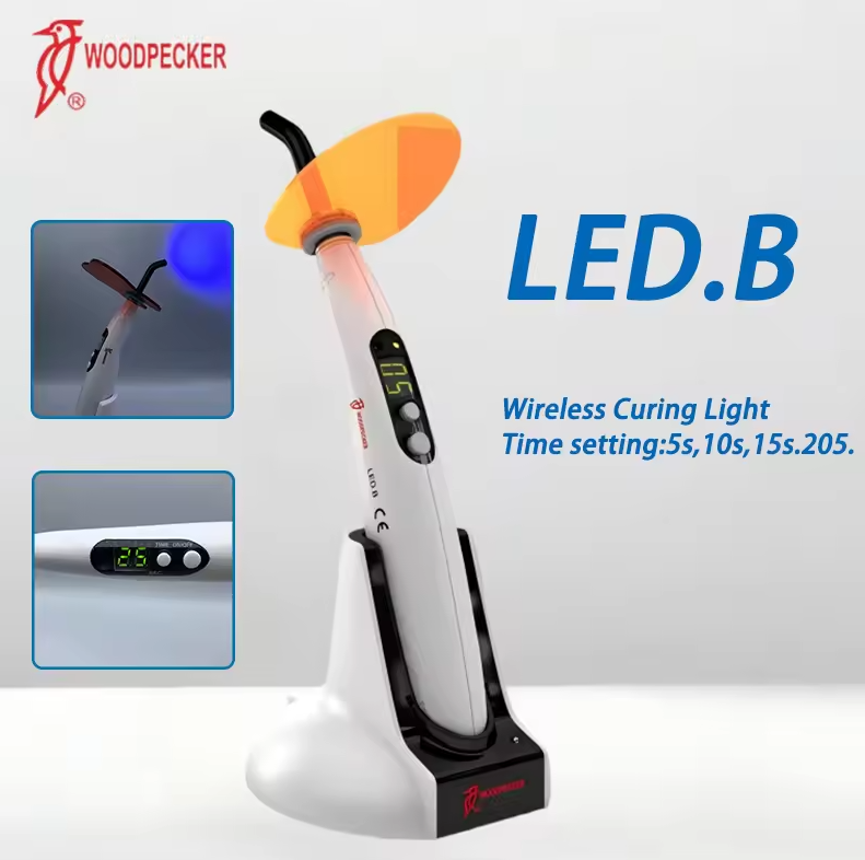 Dental Aushärtung Licht Specht – Teeth Whitening Dental Bewertung und Preis