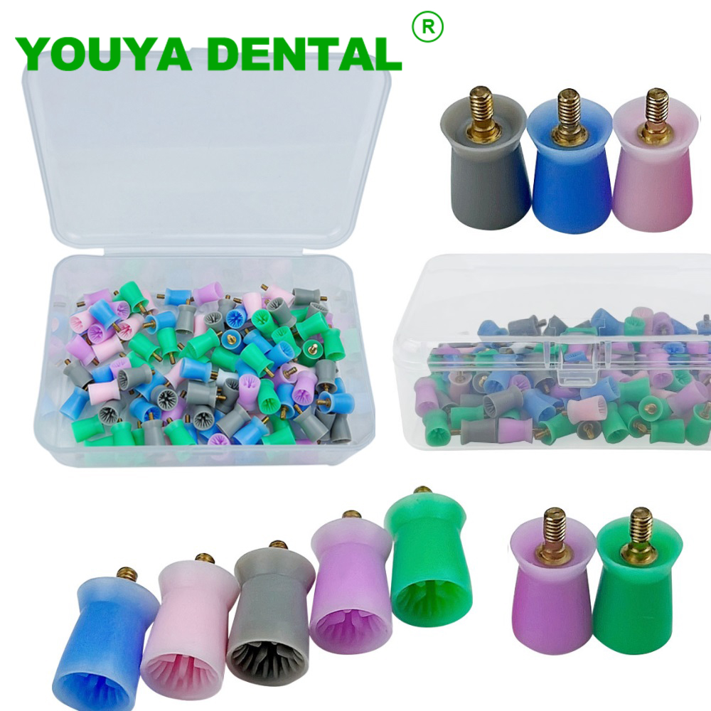 100 Stück/Box Dental Prophylax – Teeth Whitening Lab Bewertung und Preis