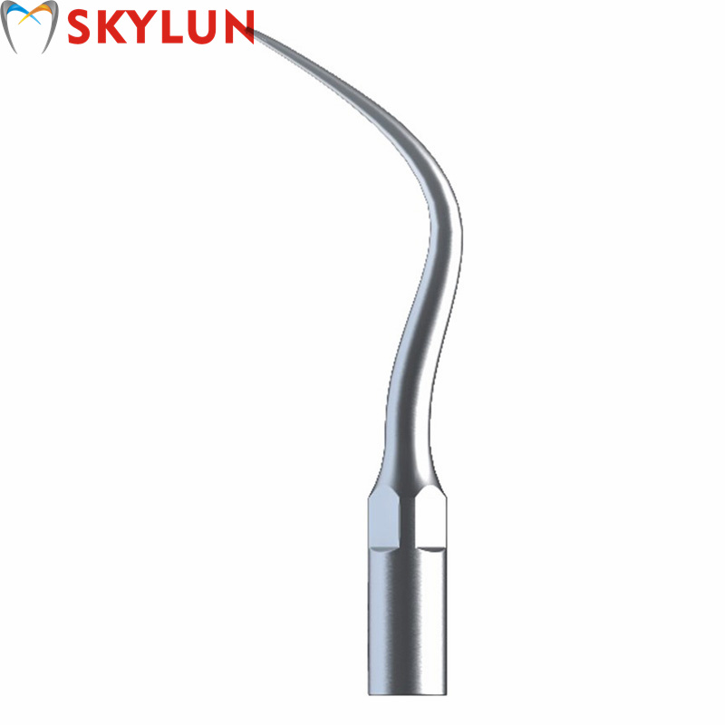 5 Stück P4 Dental Ultraschall- – Teeth Whitening Dental Bewertung und Preis
